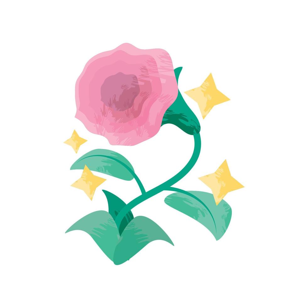 rosa fiore rosa vettore