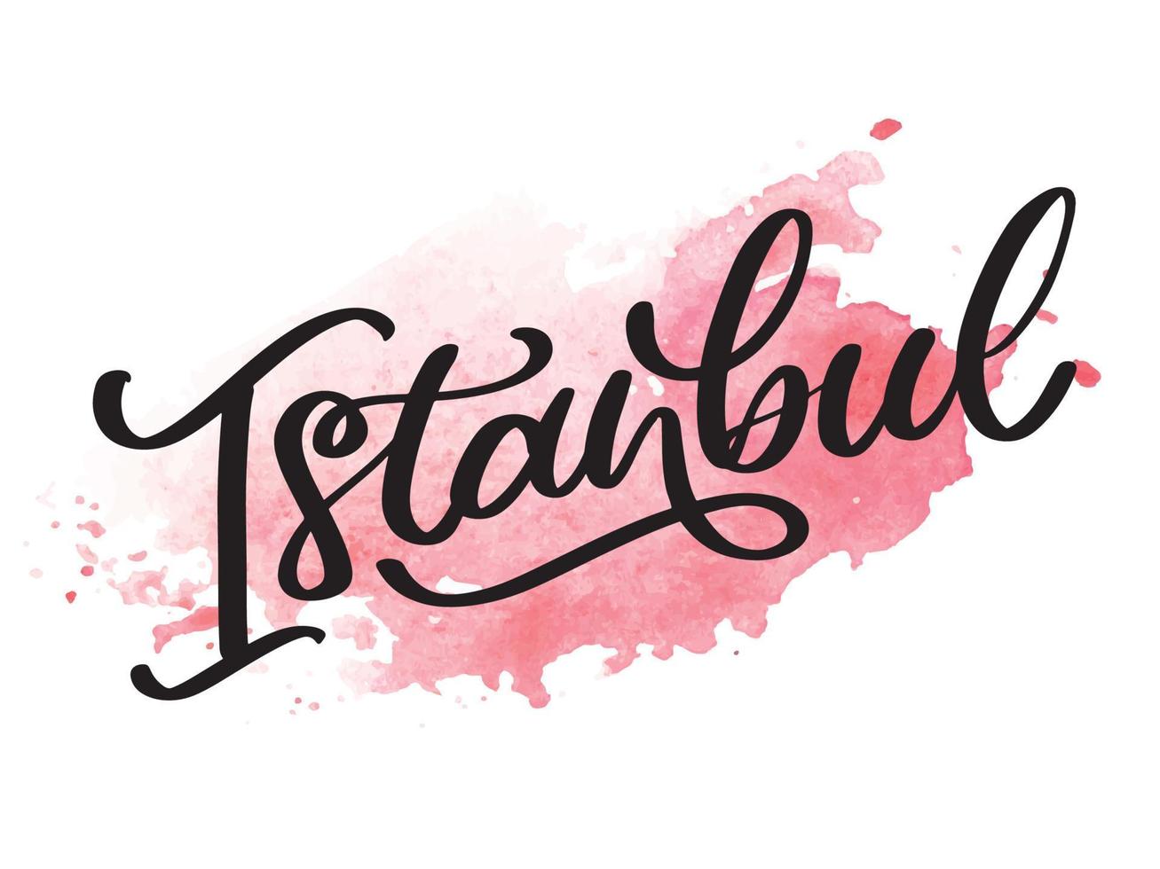 Istanbul. scritte a mano. logo vettoriale di Istanbul in colore nero con gabbiani su sfondo bianco. prodotti souvenir, emblema banner, blog di viaggio social media, brochure, volantino. illustrazione digitale.