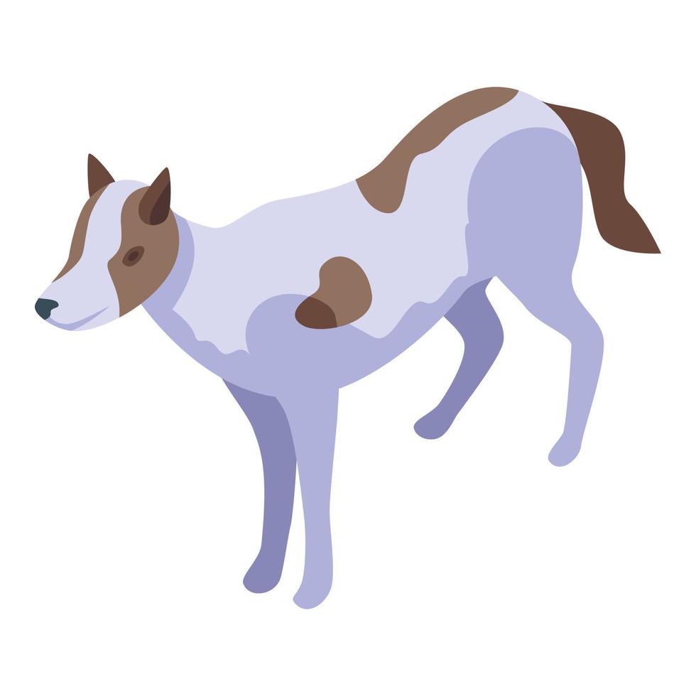 Africa selvaggio cane icona isometrico vettore. animale mammifero vettore