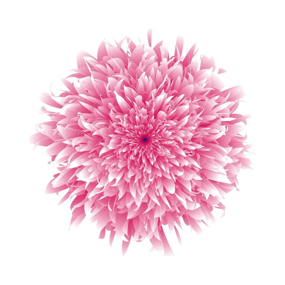 realistico 3d mescolanza fiore vettore illustrazione. rosa e bianca fiore miscela design.