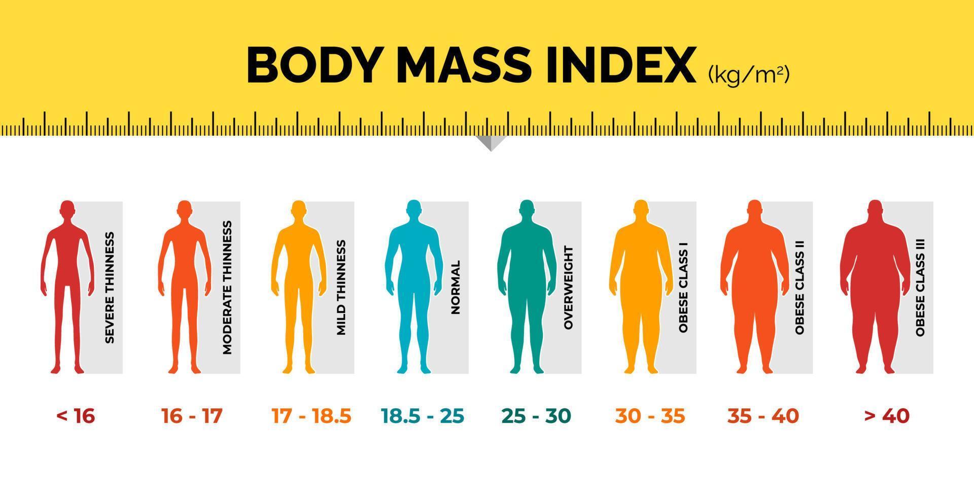 bmi classificazione grafico misurazione uomo colorato Infografica con governate. maschio corpo massa indice scala collezione a partire dal sottopeso per sovrappeso in forma. persona diverso peso livello. vettore illustrazione