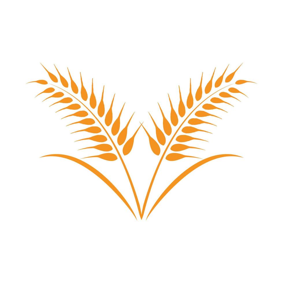 vettore di logo di grano