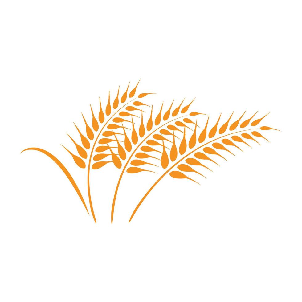 vettore di logo di grano