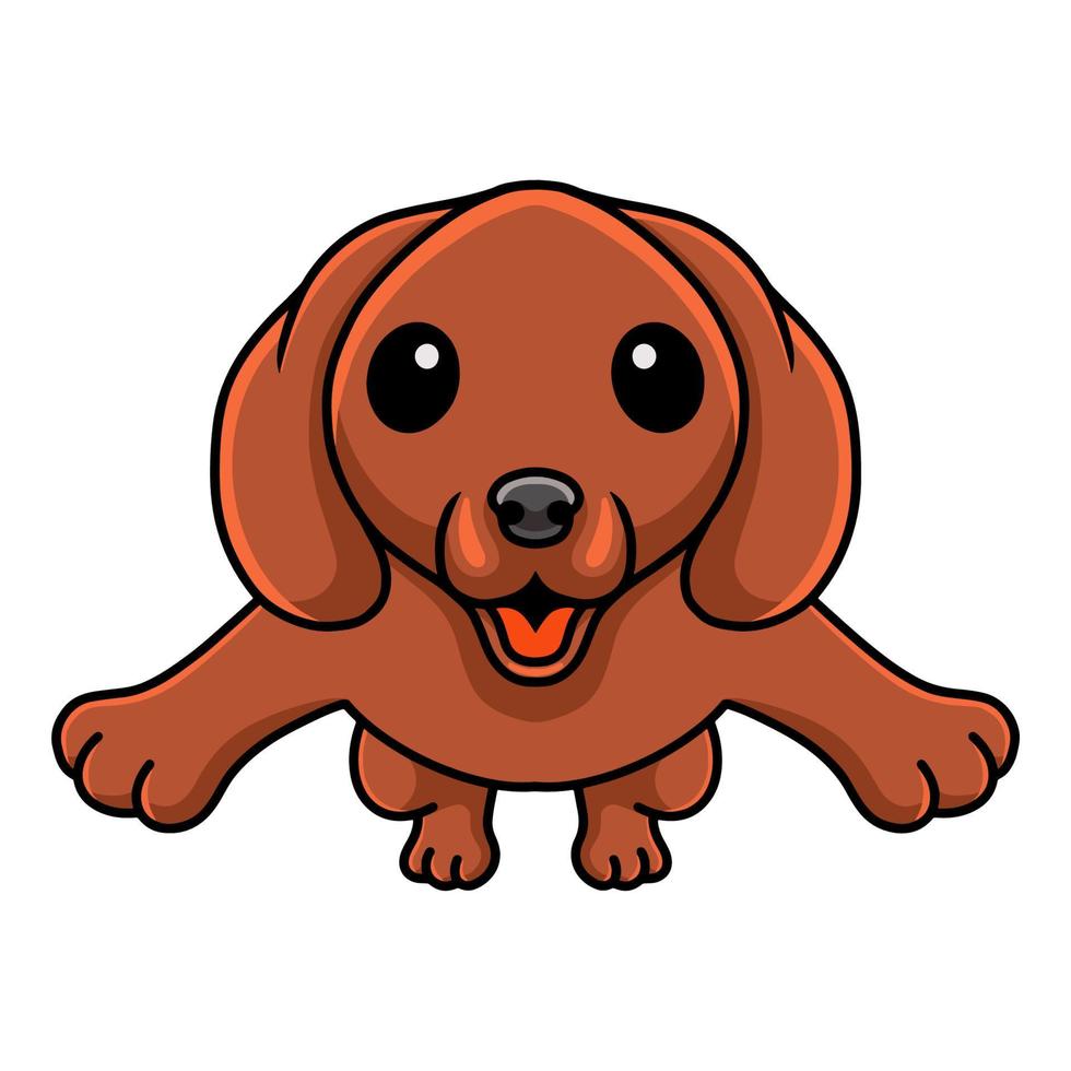 carino bassotto cane cartone animato salto vettore