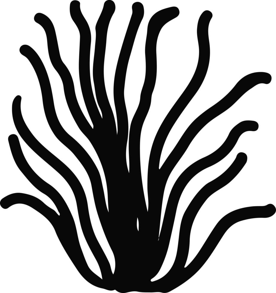 vettore illustrazione di un' corallo ornamento nel nero e bianca colori
