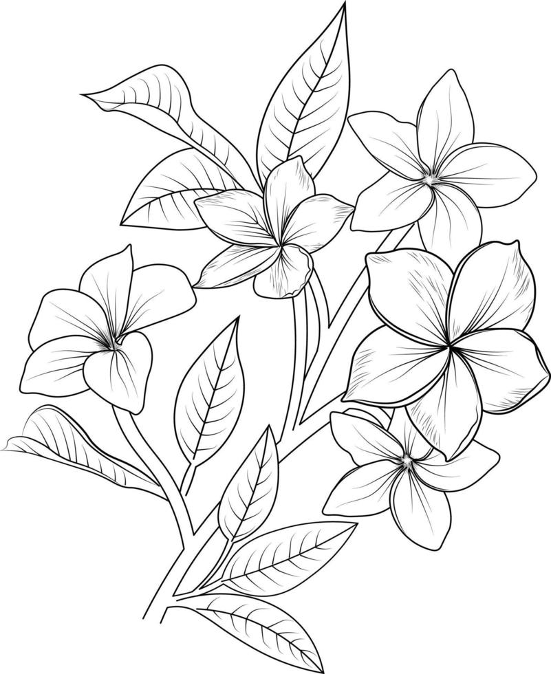 isolato frangipani fiore mano disegnato vettore schizzo illustrazione, botanico collezione ramo di foglia mini cuffie naturale collezione colorazione pagina floreale mazzi di fiori inciso inchiostro arte.