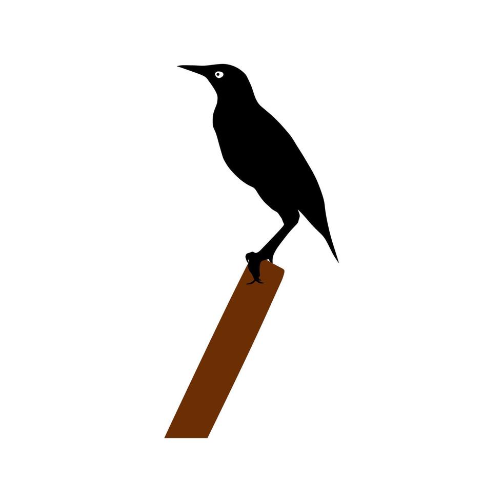 nero uccello icona in piedi su un' ramo vettore