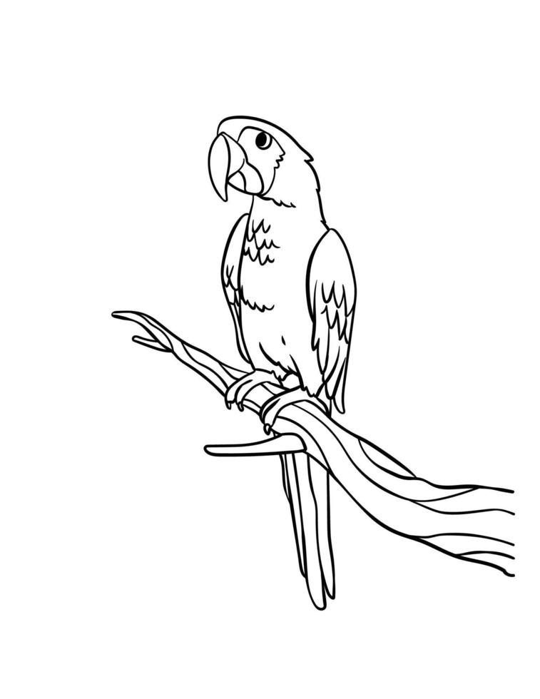 pappagallo isolato colorazione pagina per bambini vettore