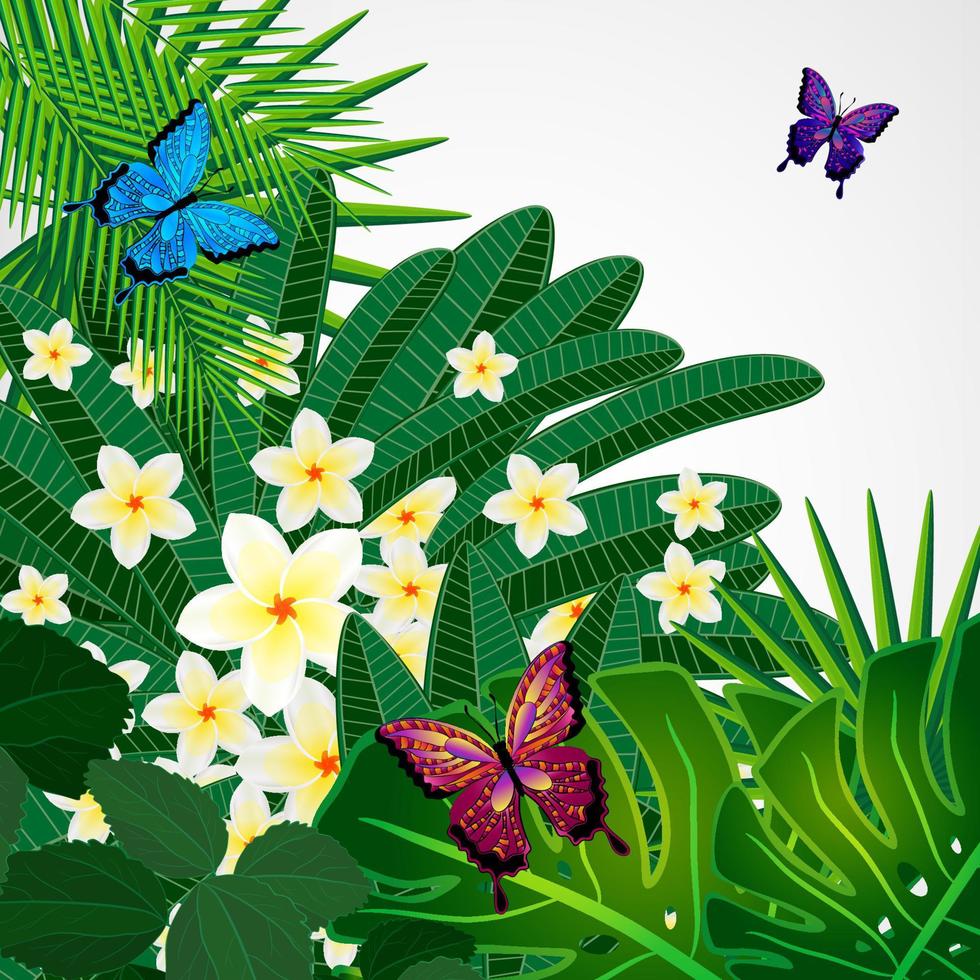 sfondo di disegno floreale. fiori di plumeria, foglie tropicali e farfalle. vettore