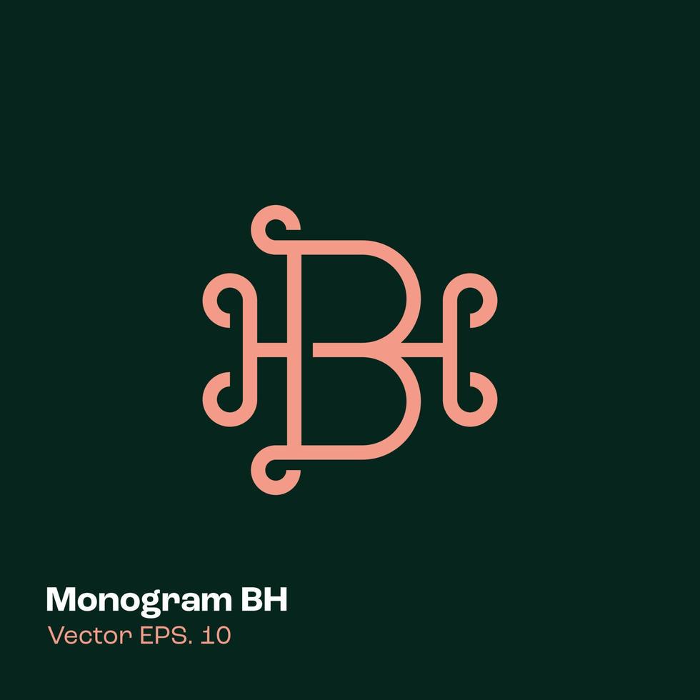 monogramma logo bh vettore