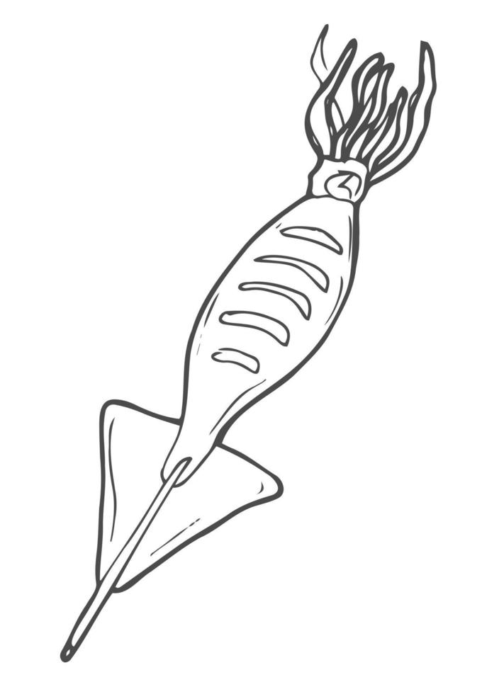 grigliato calamaro. strada cibo. Vintage ▾ mano disegnato schizzo. Cinese cibo. vettore illustrazione.