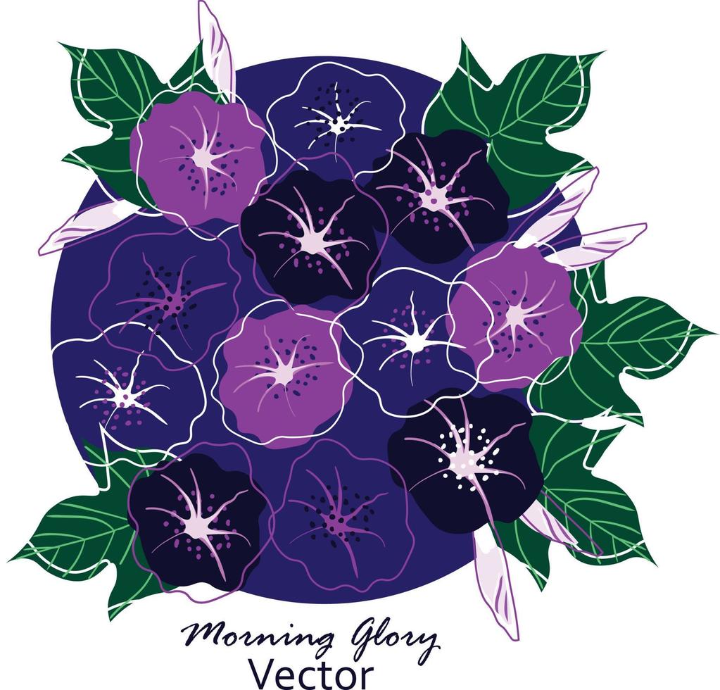 vettore illustrazione di mattina gloria fiori con le foglie telaio wreth