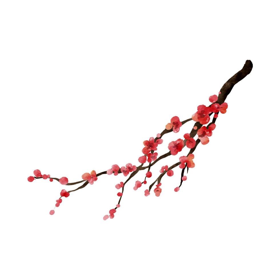 acquerello di ciliegia fiorire rami. sakura fiore ramo mano disegnato isolato su bianca sfondo vettore illustrazione
