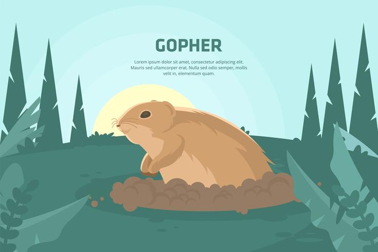 Illustrazione di Gopher vettore
