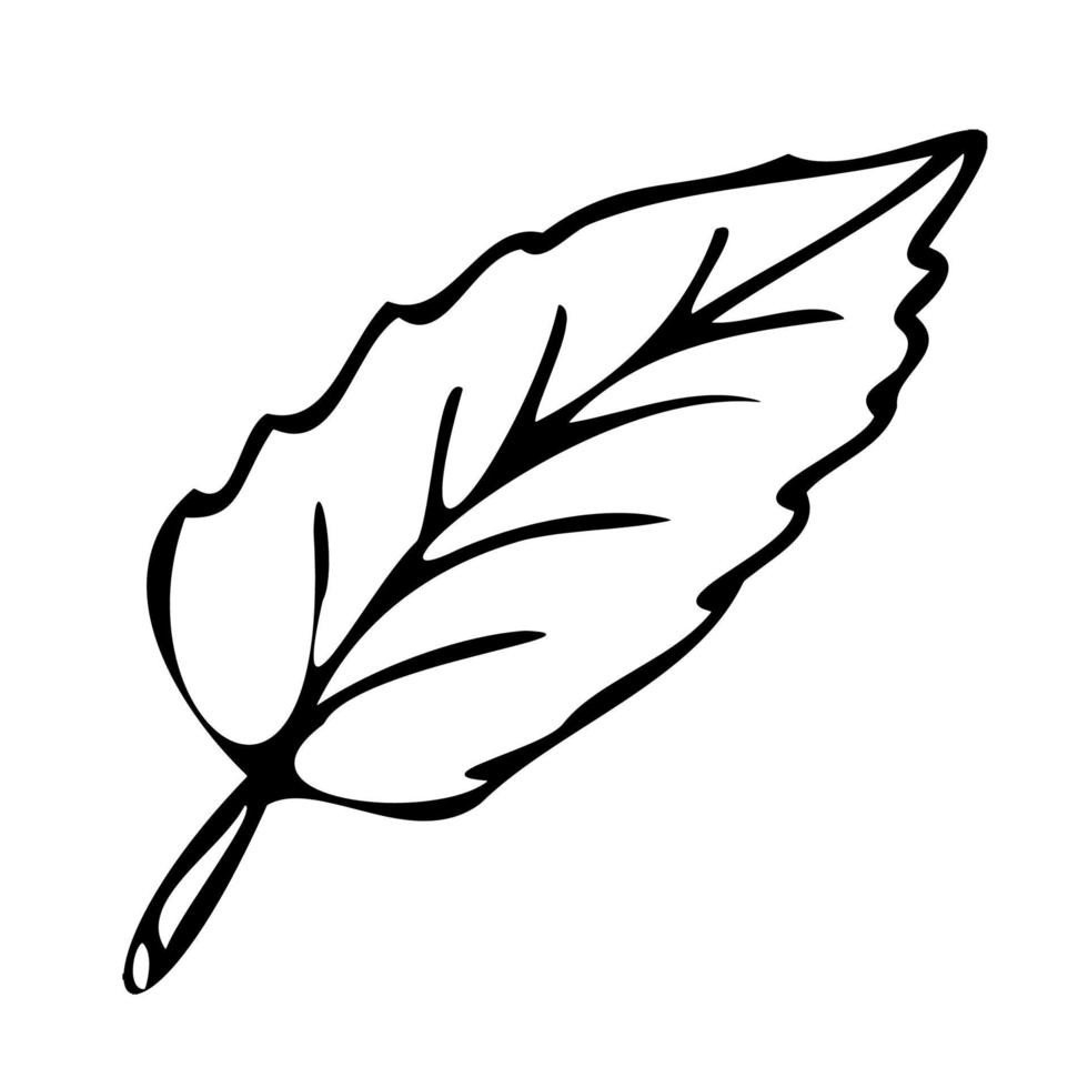 fiore botanico impianti. scarabocchio style.logo icona. vettore