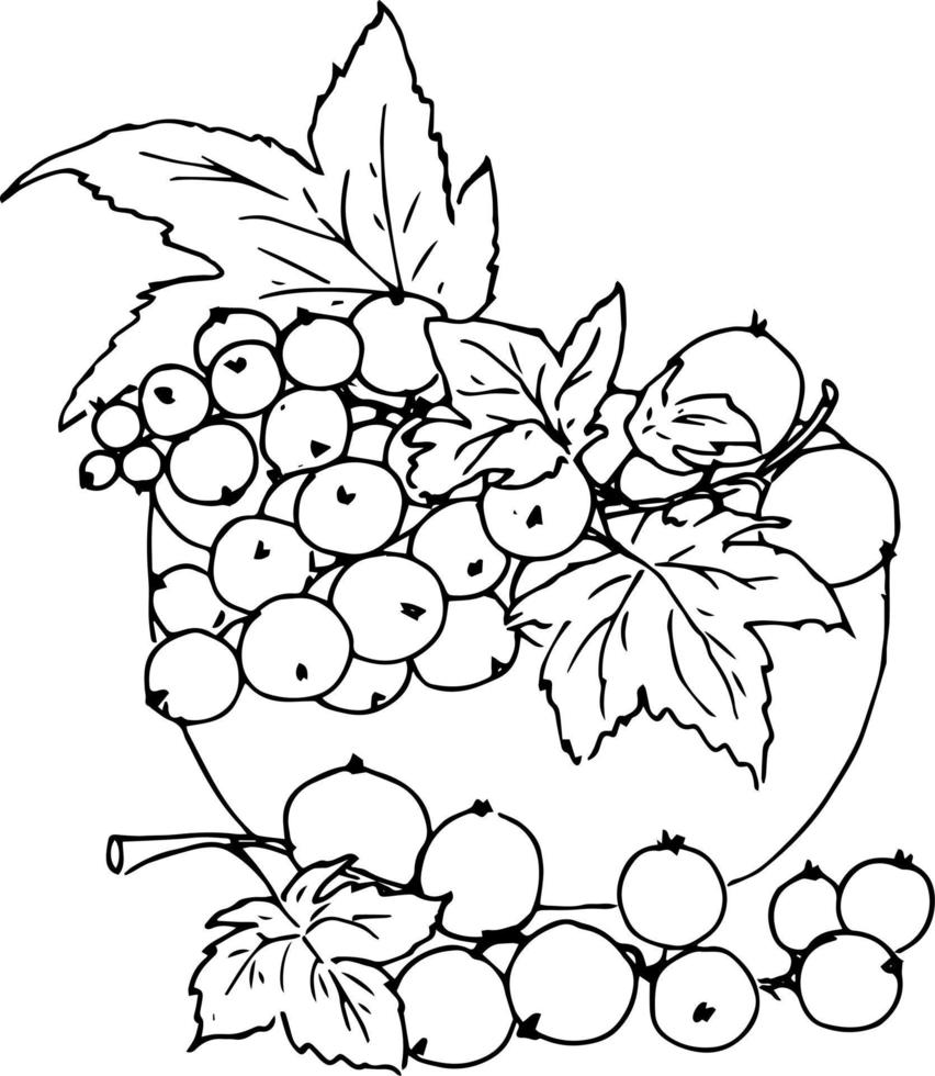frutti di bosco nel un' cestino. fragole, uva spina, lamponi. scarabocchio illustrazione, colorazione libro per adulti e bambini. vettore