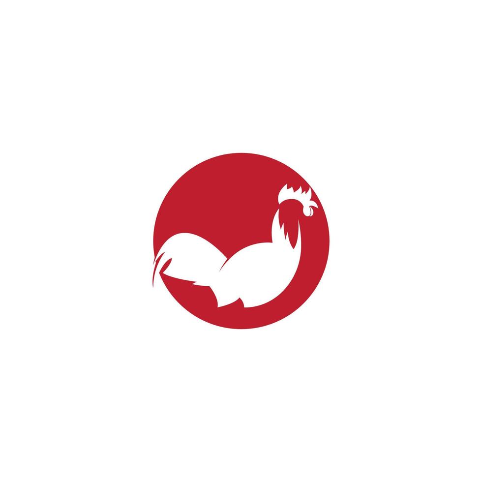 Gallo logo modello vettore