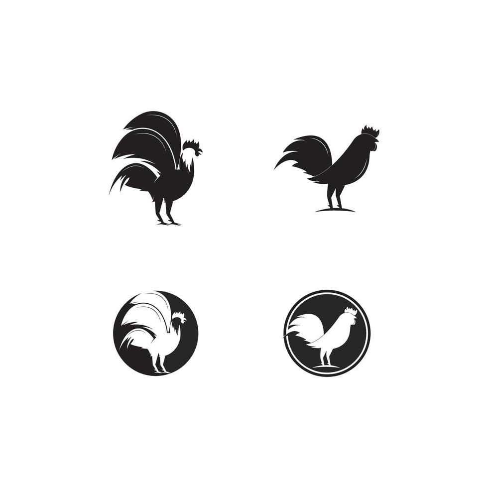 Gallo logo modello vettore