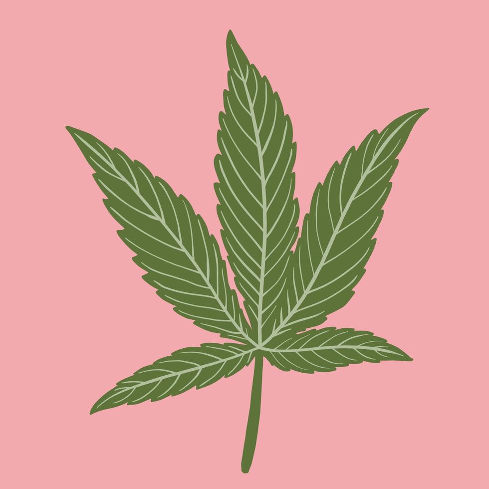 semplicità foglia di cannabis disegno a mano libera design piatto. vettore