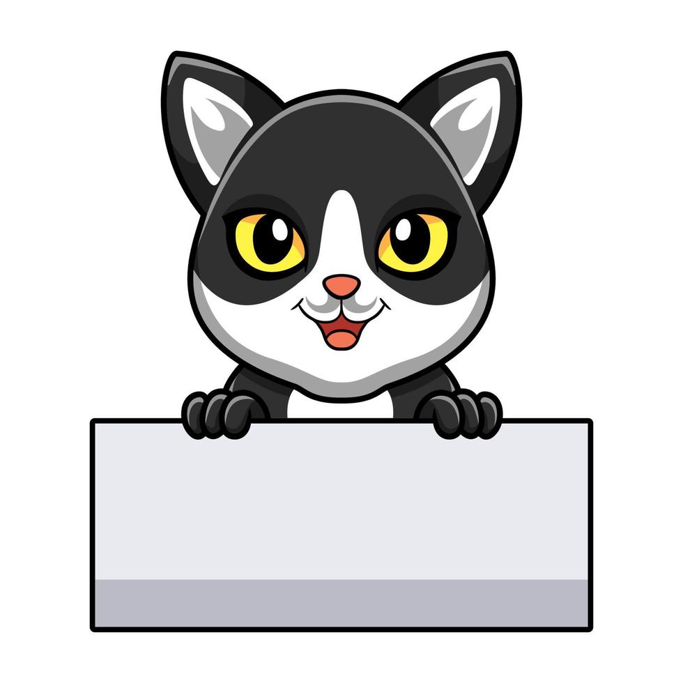 carino nero Fumo gatto cartone animato Tenere vuoto cartello vettore