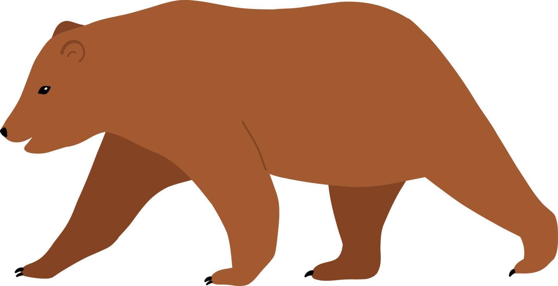 orso animale di natura. vettore