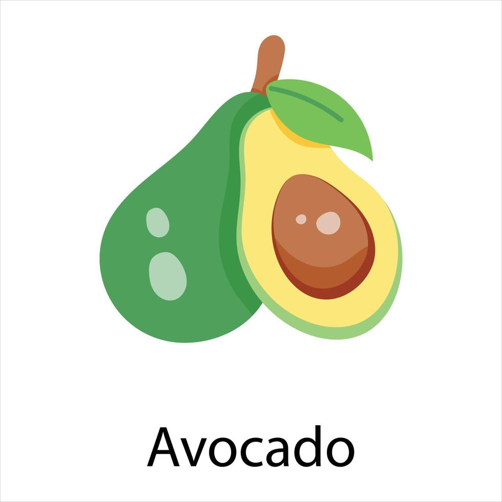 concetti di avocado alla moda vettore