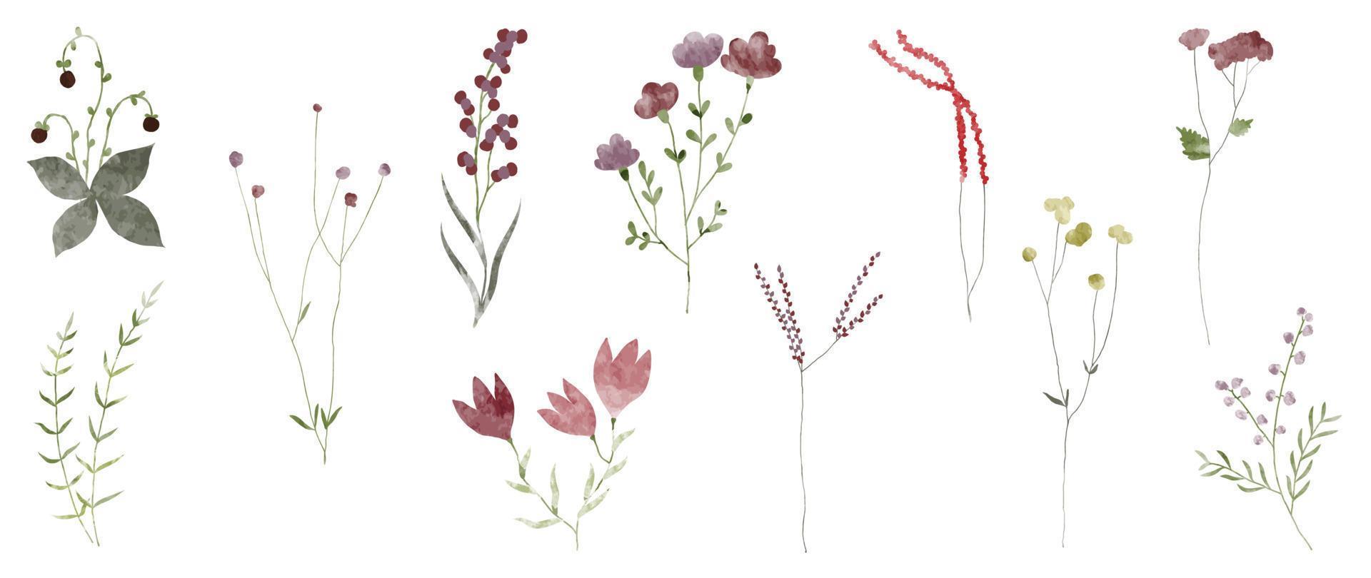 acquerello mano disegnato botanico vettore impostare. collezione di astratto primavera selvaggio fiori, erba, foglia ramo, floreale le foglie nel minimo stile. design illustrazione per logo, nozze, invito, arredamento