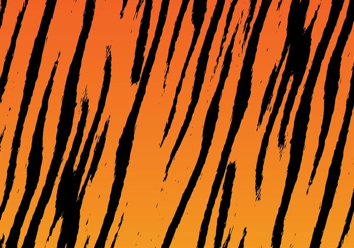 vettore di sfondo striscia di tigre