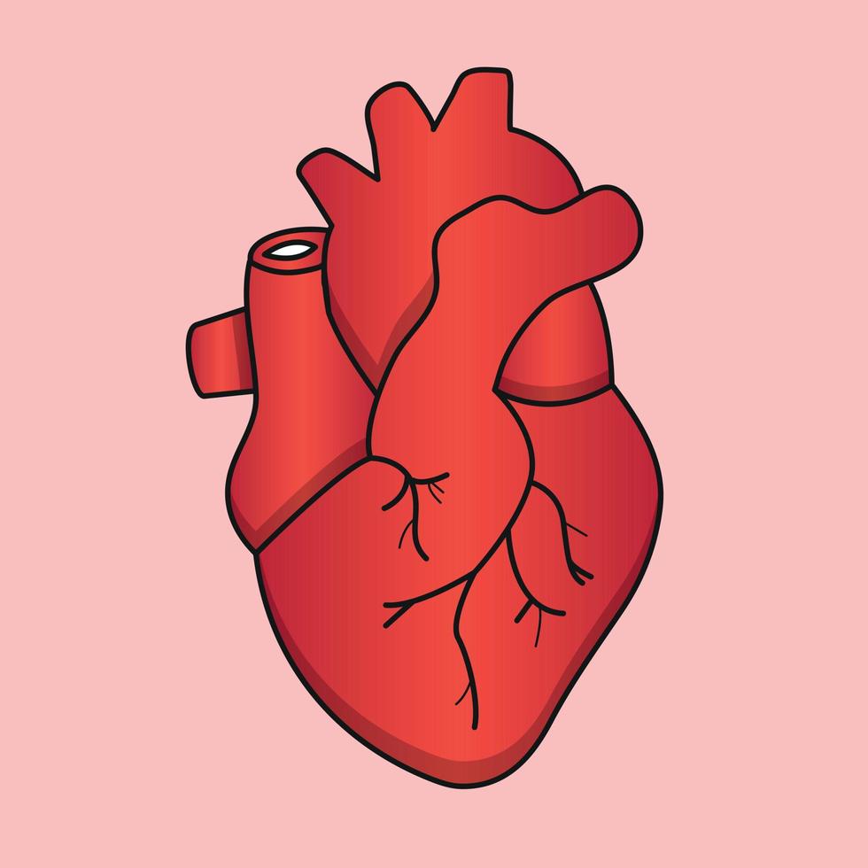 illustrazione di cuore cuore vettore cuore disegno