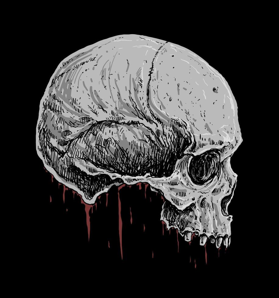 sanguinoso cranio ossatura disegno illustrazione vettore