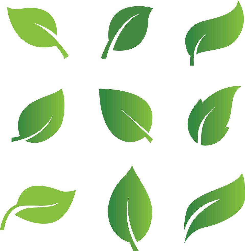 impostato di astratto isolato verde le foglie icone su bianca sfondo vettore