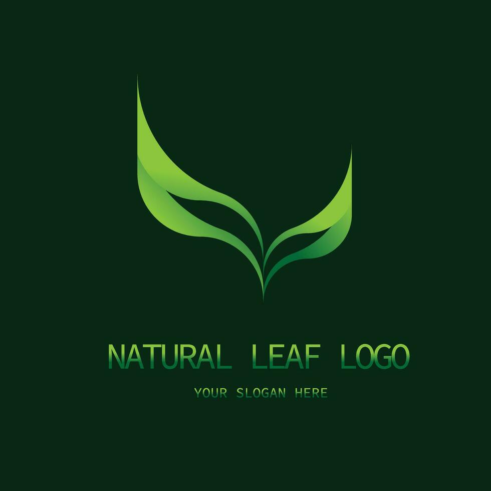 creativo naturale foglia logo. elegante pendenza logo design. isolato verde sfondo vettore