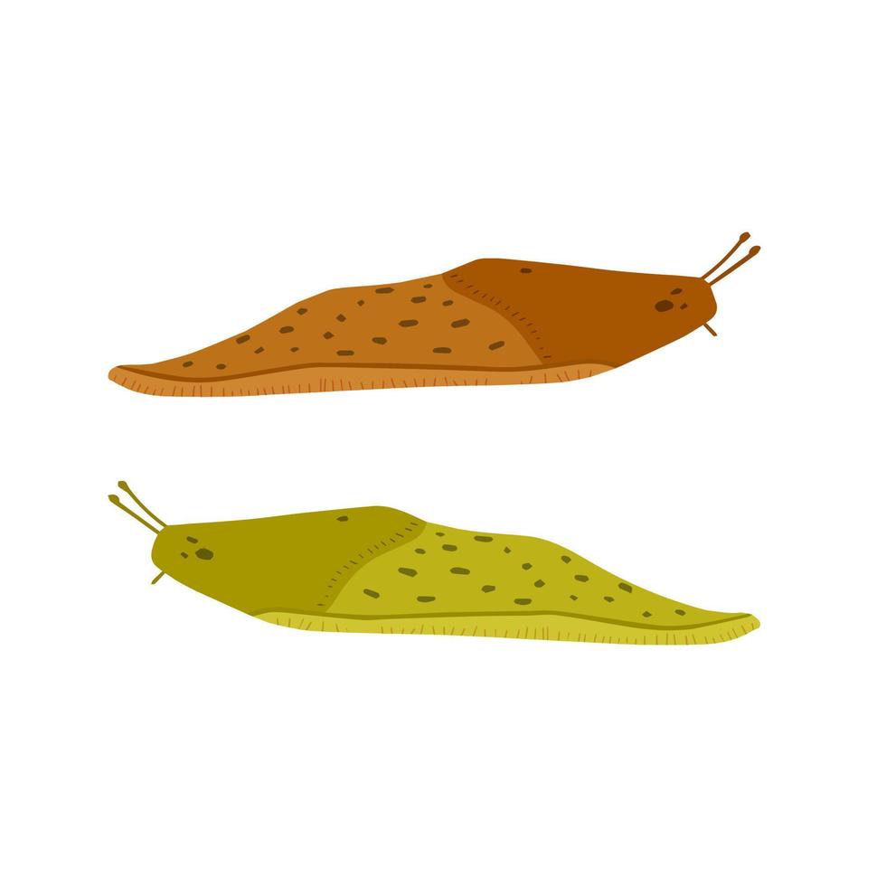 verde e Marrone lumaca. impostato di scivoloso insetti. piatto cartone animato illustrazione isolato su bianca sfondo vettore