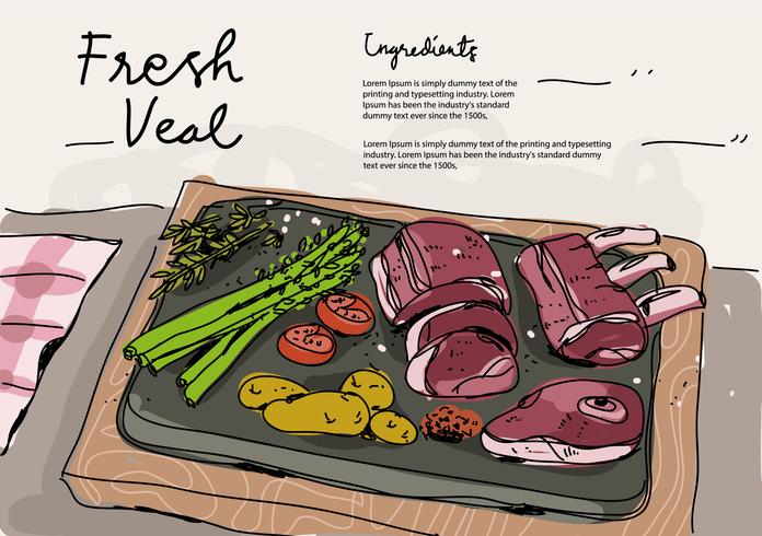 Illustrazione disegnata a mano di vettore degli ingredienti freschi del vitello