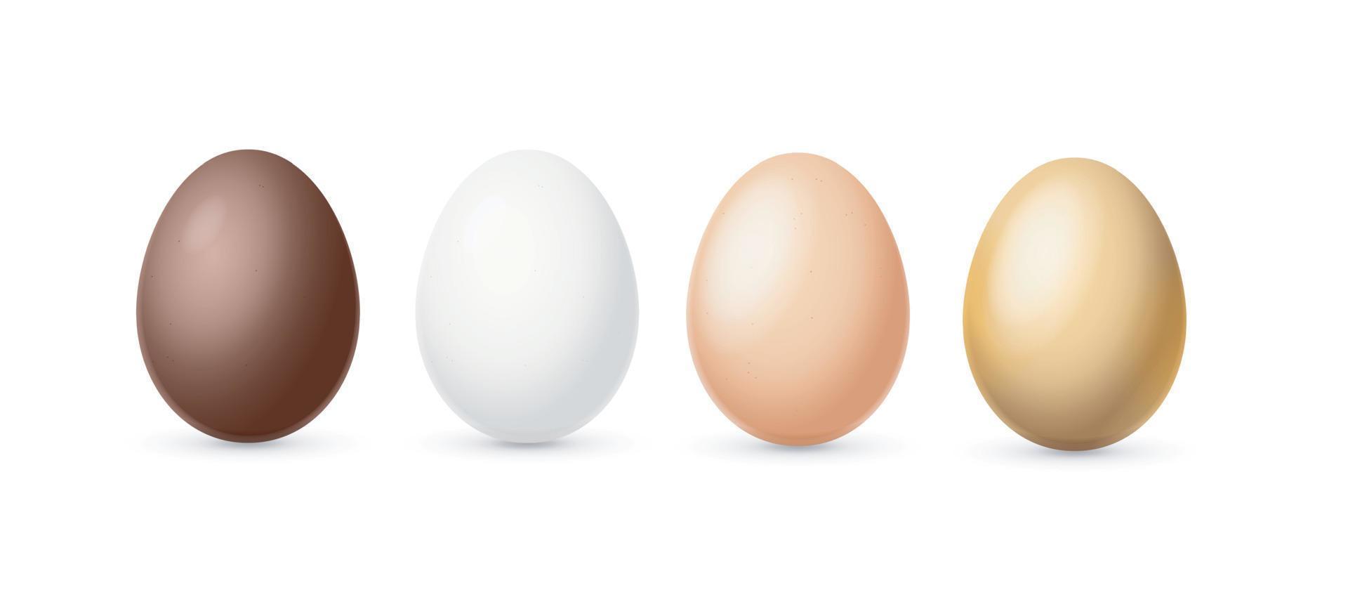 realistico dettagliato 3d colore uova su un' riga. vettore