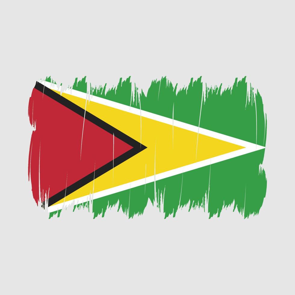 pennello bandiera della Guyana vettore