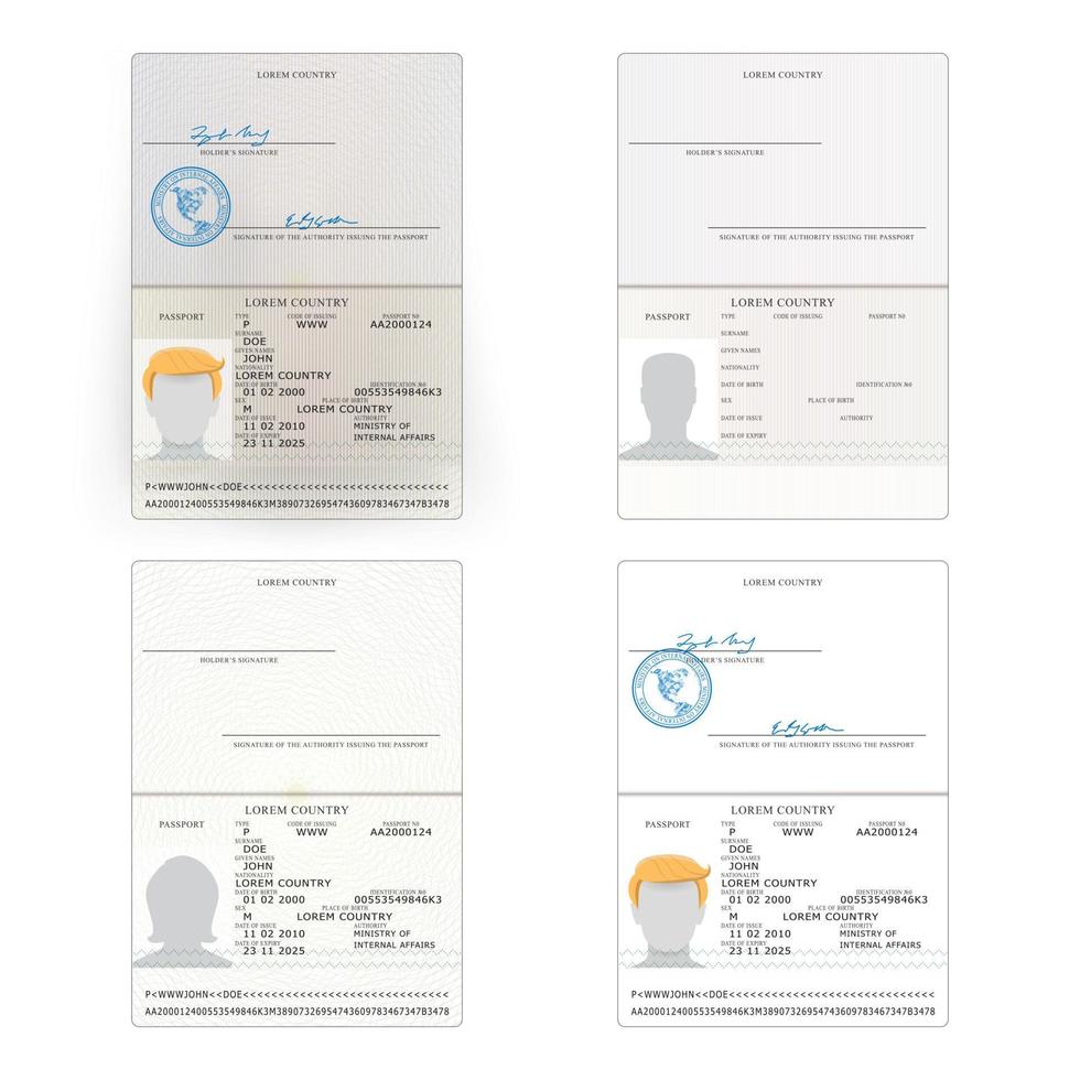 internazionale passaporto impostato vettore. vettore