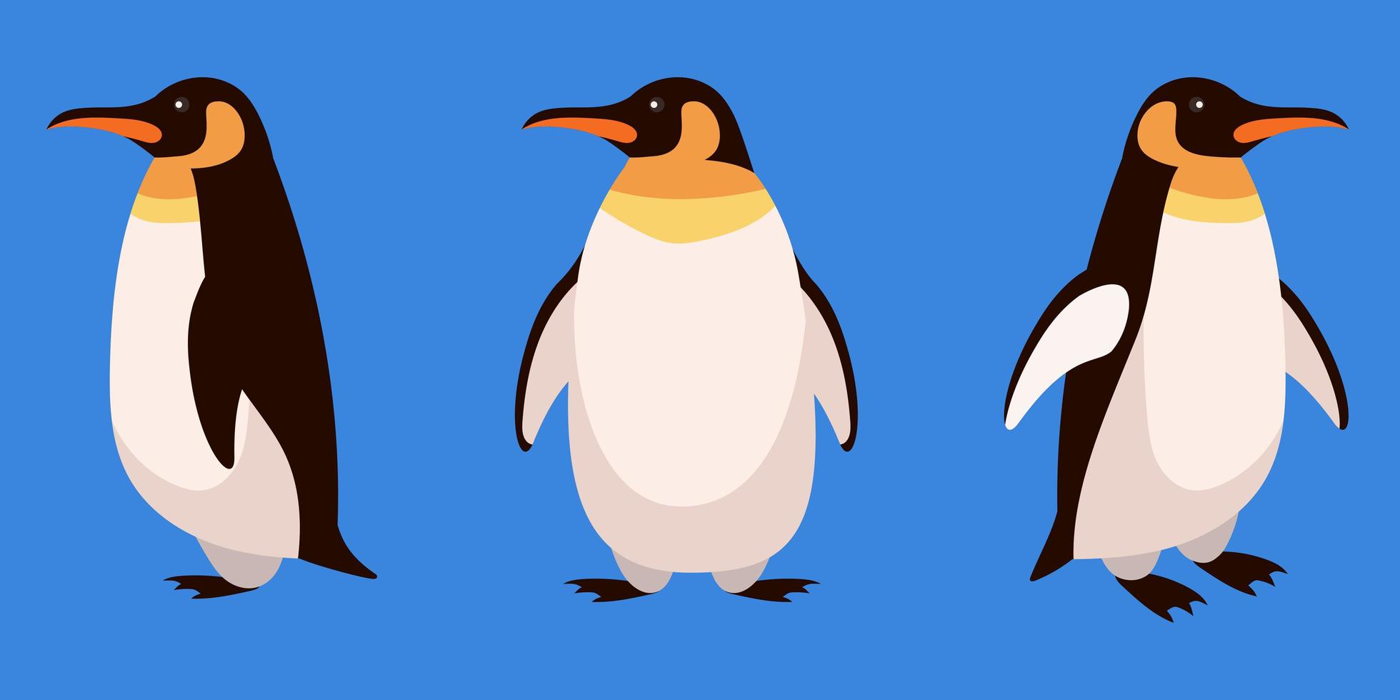 pinguino in diverse angolazioni vettore