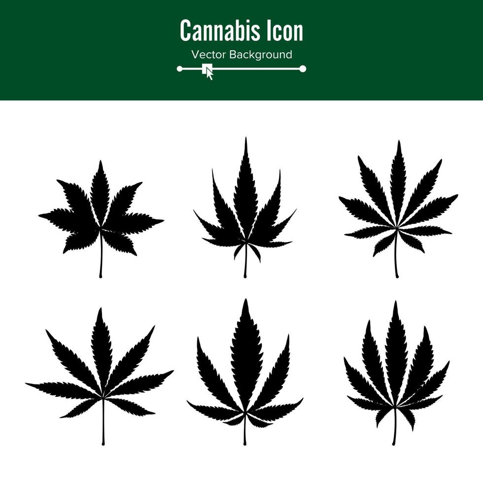 marijuana foglia vettore. verde canapa canapa sativa o canapa indica marijuana foglia isolato su bianca sfondo. medico pianta illustrazione vettore