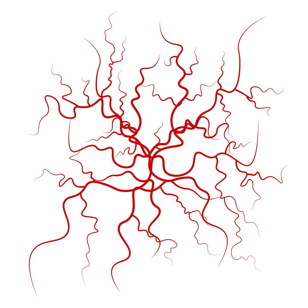 umano sangue vene vettore. rosso sangue navi design. illustrazione isolato su bianca sfondo vettore