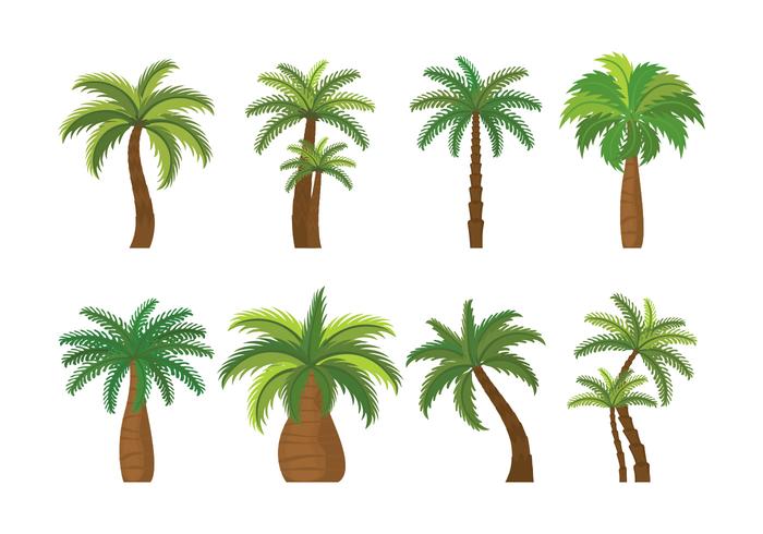Set di icone più palmier vettore