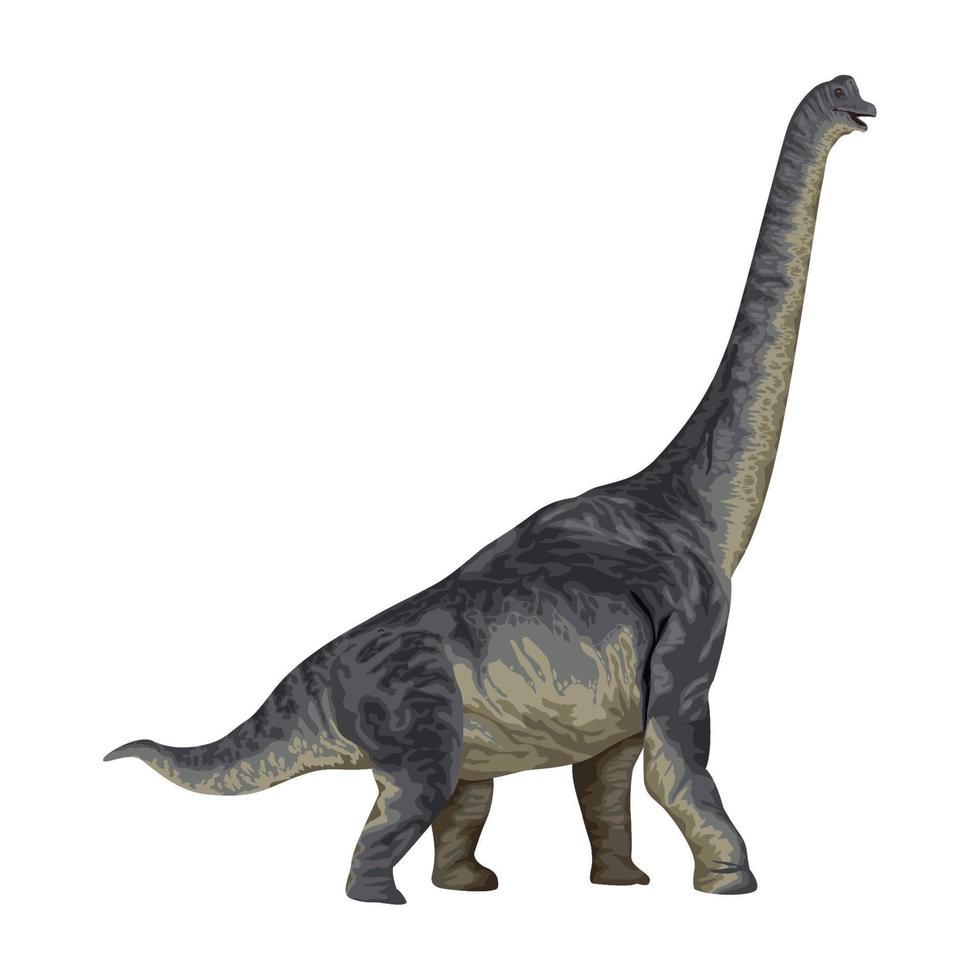 brochiosauro dinosauro preistorico animale vettore