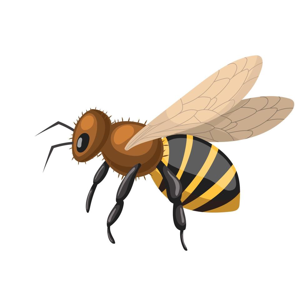 ape miele cartone animato vettore illustrazione