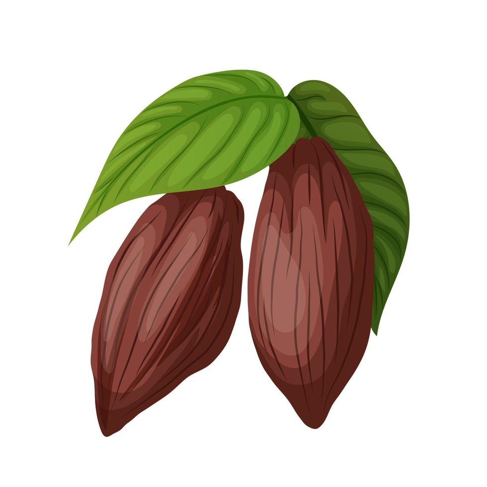 cacao fagiolo cartone animato vettore