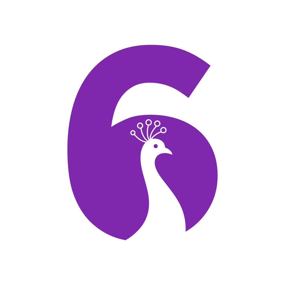 lettera 6 bellissimo pavone logo modello vettore modello colorato logotipo