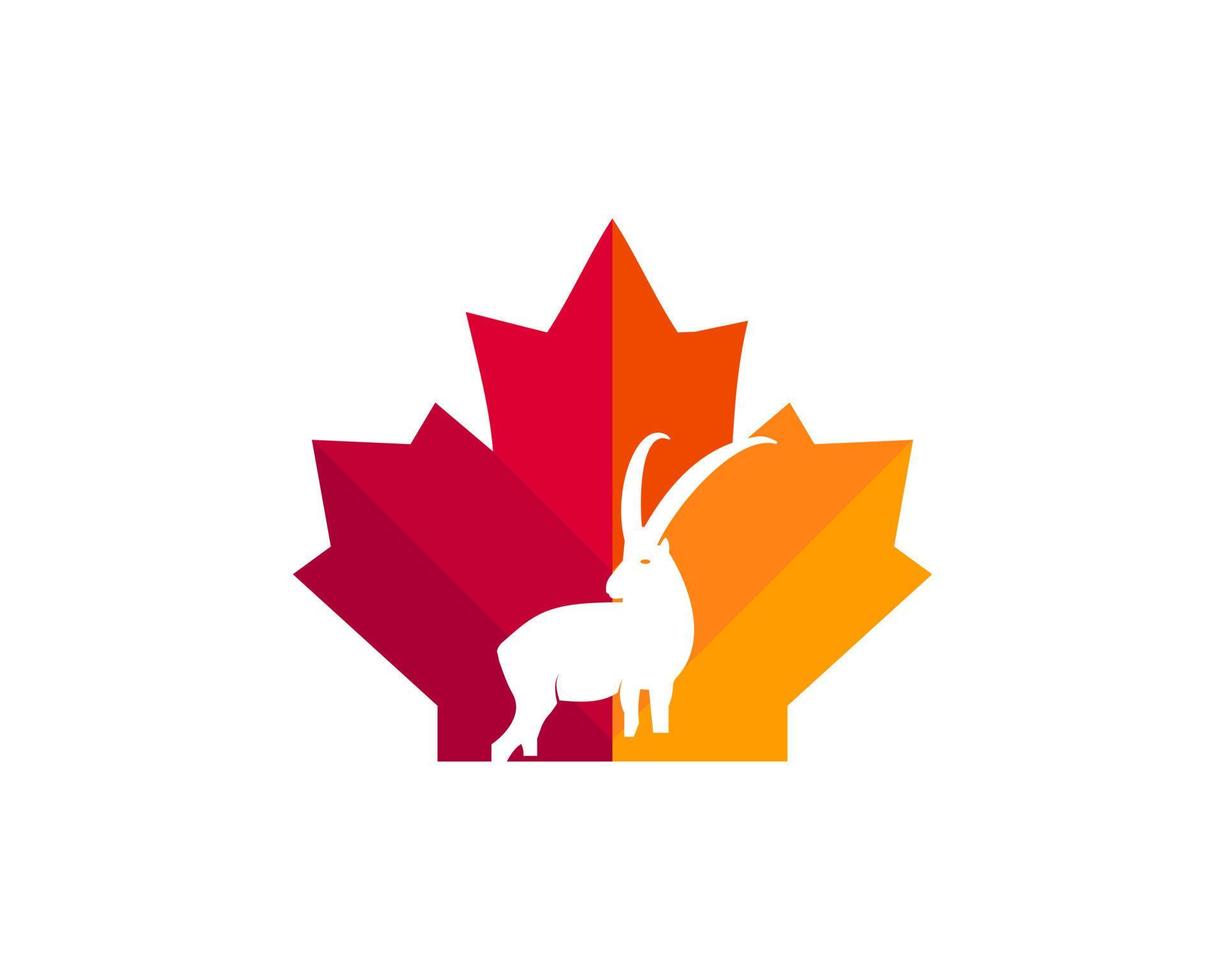 acero capra logo design. canadese capra logo. rosso acero foglia con capra vettore