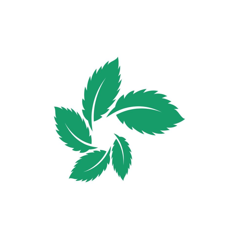 icona di vettore piatto di foglie di menta