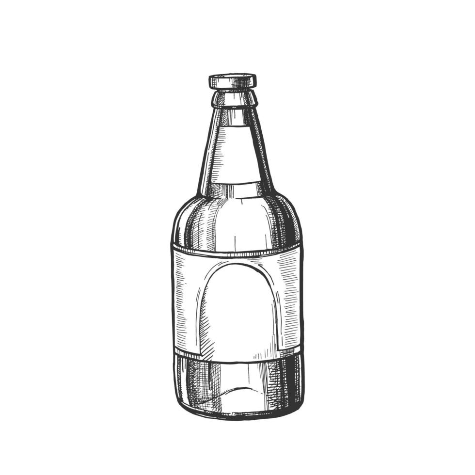 mano disegnato classico bicchiere bottiglia di birra vettore