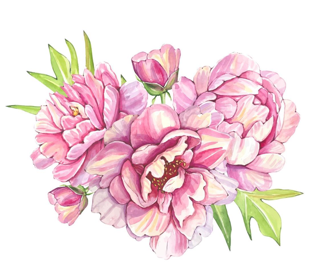 mano disegnato mazzo di rosa peonie, acquerello illustrazione vettore