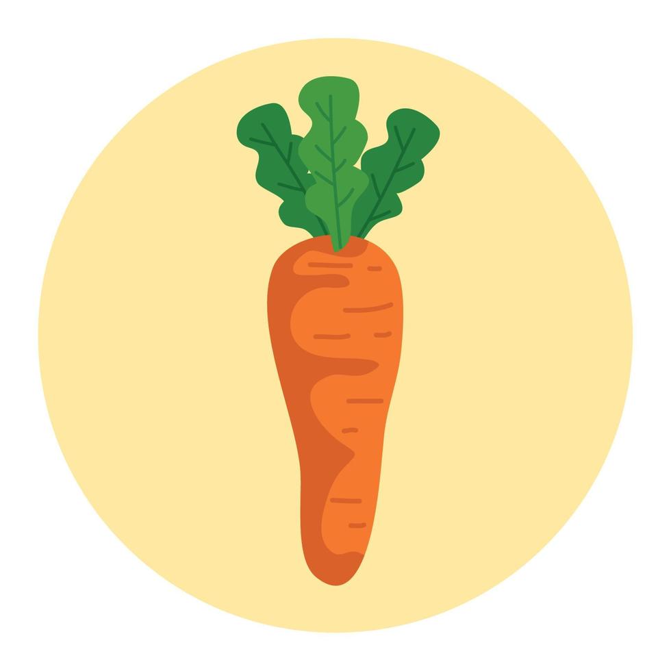 fresco carota verdura su il giro telaio, nel bianca sfondo vettore